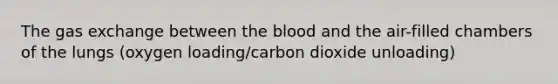 The gas exchange between the blood and the air-filled chambers of the lungs (oxygen loading/carbon dioxide unloading)