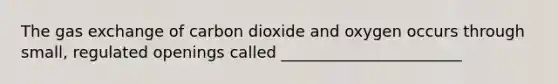 The gas exchange of carbon dioxide and oxygen occurs through small, regulated openings called _______________________