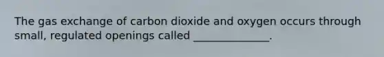 The gas exchange of carbon dioxide and oxygen occurs through small, regulated openings called ______________.