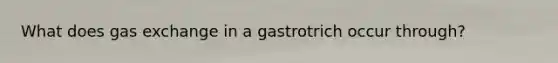 What does gas exchange in a gastrotrich occur through?