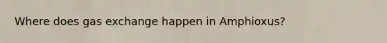 Where does gas exchange happen in Amphioxus?