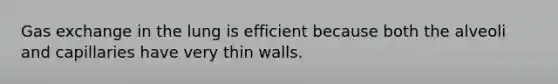 <a href='https://www.questionai.com/knowledge/kU8LNOksTA-gas-exchange' class='anchor-knowledge'>gas exchange</a> in the lung is efficient because both the alveoli and capillaries have very thin walls.