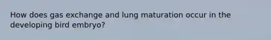 How does gas exchange and lung maturation occur in the developing bird embryo?