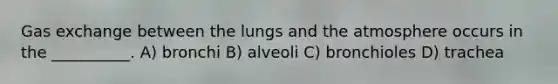 Gas exchange between the lungs and the atmosphere occurs in the __________. A) bronchi B) alveoli C) bronchioles D) trachea