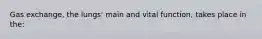 Gas exchange, the lungs' main and vital function, takes place in the: