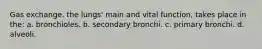 Gas exchange, the lungs' main and vital function, takes place in the: a. bronchioles. b. secondary bronchi. c. primary bronchi. d. alveoli.