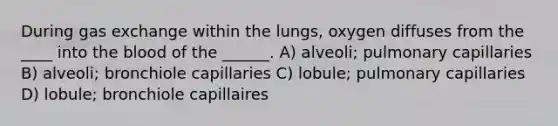 During gas exchange within the lungs, oxygen diffuses from the ____ into the blood of the ______. A) alveoli; pulmonary capillaries B) alveoli; bronchiole capillaries C) lobule; pulmonary capillaries D) lobule; bronchiole capillaires