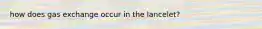 how does gas exchange occur in the lancelet?
