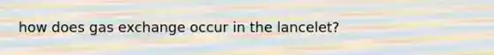 how does gas exchange occur in the lancelet?