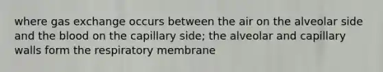 where gas exchange occurs between the air on the alveolar side and the blood on the capillary side; the alveolar and capillary walls form the respiratory membrane