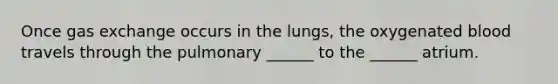 Once gas exchange occurs in the lungs, the oxygenated blood travels through the pulmonary ______ to the ______ atrium.