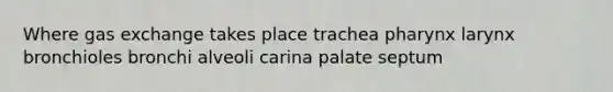 Where gas exchange takes place trachea pharynx larynx bronchioles bronchi alveoli carina palate septum