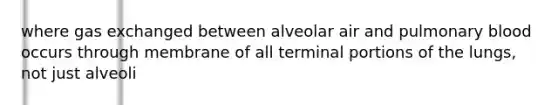 where gas exchanged between alveolar air and pulmonary blood occurs through membrane of all terminal portions of the lungs, not just alveoli