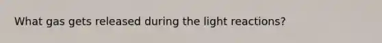 What gas gets released during the light reactions?