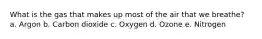 What is the gas that makes up most of the air that we breathe? a. Argon b. Carbon dioxide c. Oxygen d. Ozone e. Nitrogen