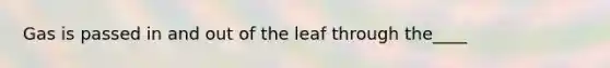 Gas is passed in and out of the leaf through the____