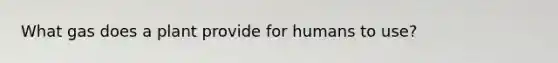 What gas does a plant provide for humans to use?