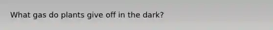 What gas do plants give off in the dark?