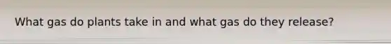 What gas do plants take in and what gas do they release?