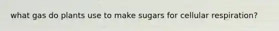 what gas do plants use to make sugars for cellular respiration?