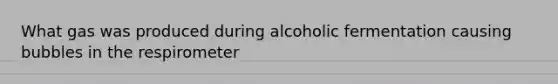 What gas was produced during alcoholic fermentation causing bubbles in the respirometer