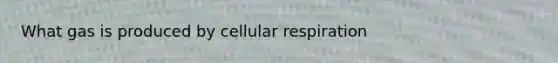 What gas is produced by <a href='https://www.questionai.com/knowledge/k1IqNYBAJw-cellular-respiration' class='anchor-knowledge'>cellular respiration</a>