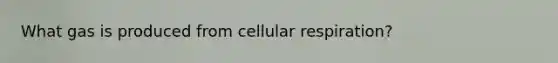 What gas is produced from cellular respiration?