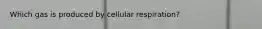 Which gas is produced by cellular respiration?
