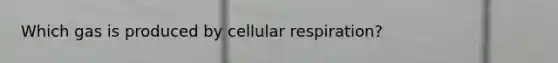 Which gas is produced by <a href='https://www.questionai.com/knowledge/k1IqNYBAJw-cellular-respiration' class='anchor-knowledge'>cellular respiration</a>?