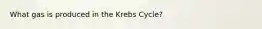 What gas is produced in the Krebs Cycle?