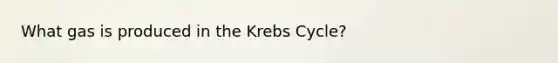 What gas is produced in the Krebs Cycle?