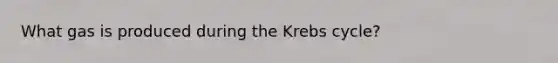 What gas is produced during the Krebs cycle?