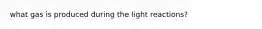 what gas is produced during the light reactions?