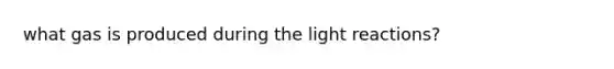 what gas is produced during the light reactions?