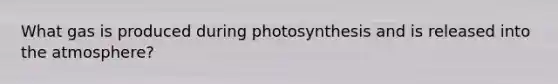 What gas is produced during photosynthesis and is released into the atmosphere?