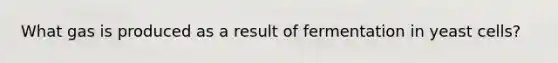 What gas is produced as a result of fermentation in yeast cells?