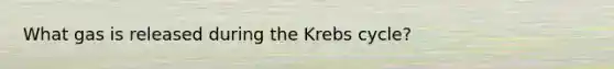 What gas is released during the Krebs cycle?