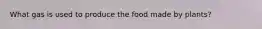 What gas is used to produce the food made by plants?