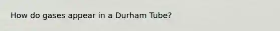 How do gases appear in a Durham Tube?