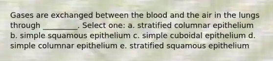 Gases are exchanged between <a href='https://www.questionai.com/knowledge/k7oXMfj7lk-the-blood' class='anchor-knowledge'>the blood</a> and the air in the lungs through _________. Select one: a. stratified columnar epithelium b. simple squamous epithelium c. simple cuboidal epithelium d. simple columnar epithelium e. stratified squamous epithelium