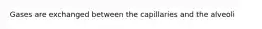 Gases are exchanged between the capillaries and the alveoli