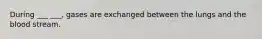During ___ ___, gases are exchanged between the lungs and the blood stream.