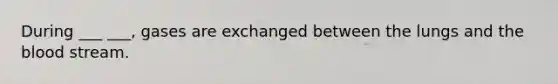 During ___ ___, gases are exchanged between the lungs and the blood stream.