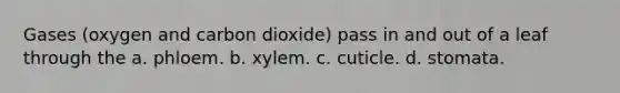 Gases (oxygen and carbon dioxide) pass in and out of a leaf through the a. phloem. b. xylem. c. cuticle. d. stomata.