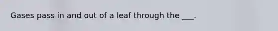 Gases pass in and out of a leaf through the ___.