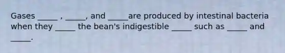 Gases _____ , _____, and _____are produced by intestinal bacteria when they _____ the bean's indigestible _____ such as _____ and _____.