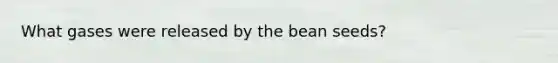 What gases were released by the bean seeds?