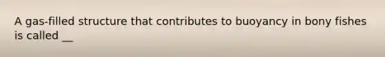 A gas-filled structure that contributes to buoyancy in bony fishes is called __