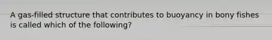 A gas-filled structure that contributes to buoyancy in bony fishes is called which of the following?