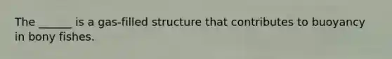 The ______ is a gas-filled structure that contributes to buoyancy in bony fishes.